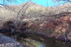 IMG_20250310_075416154_HDR