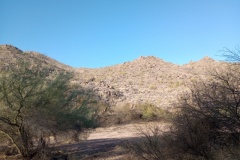 IMG_20250310_075552007