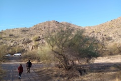 IMG_20250310_075556121
