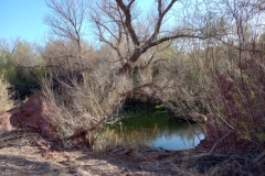 IMG_20250310_080555578_HDR