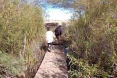 IMG_20250310_091831645