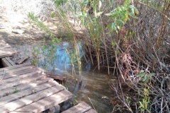 IMG_20250310_091850644