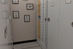 PXL_20260727_204407944