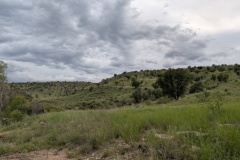 PXL_20260728_004902558