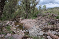 PXL_20260728_005334325