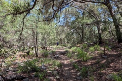 PXL_20260728_185900600