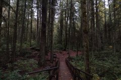 IMG_20221104_094859218
