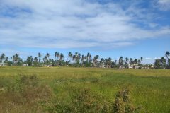 IMG_20190514_122233147