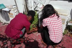 IMG_20170809_091307