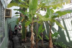 IMG_20170809_092727
