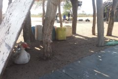 20160628_124433