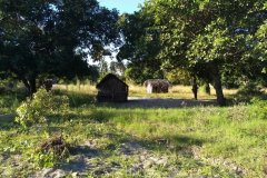 IMG_20180425_155655964